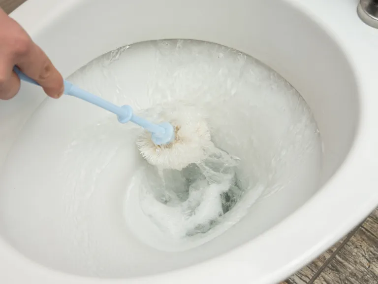 Toiletborstel