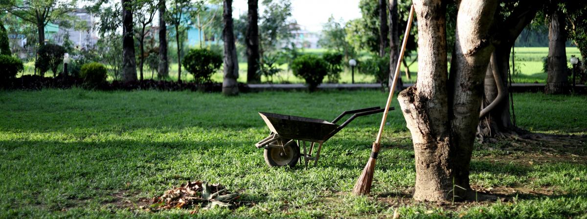 Tuin winterklaar maken